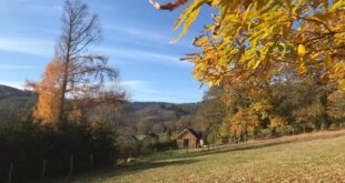 natuurhuisje saint prix 2, wandeling in de Morvan