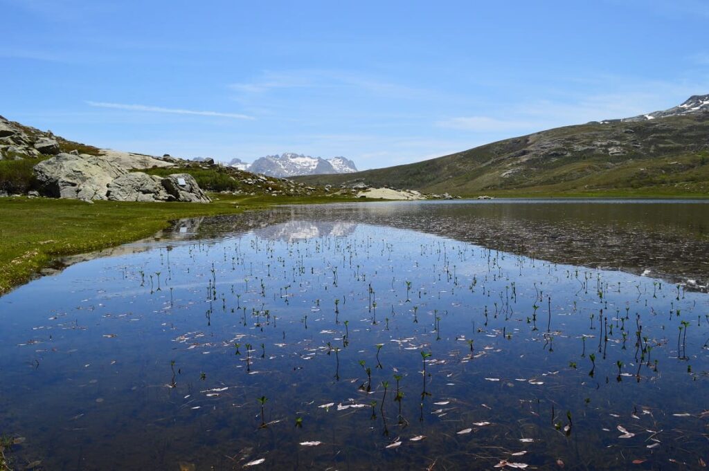 Lac de Nino PVF, Corsica