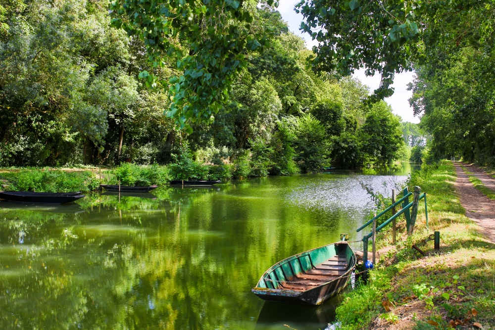 Marais Poitevin 1261869859, 15 mooiste bezienswaardigheden van Zuidwest-Frankrijk