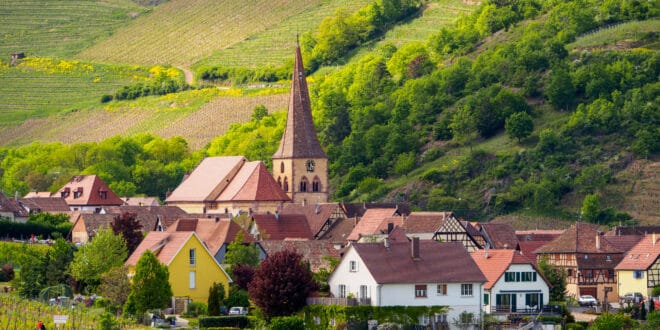 Niedermorschwihr Elzas shutterstock 1318397090, Najaar Hoge Vogezen