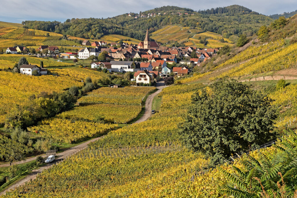 Niedermorschwihr Elzas shutterstock 1535578700, Niedermorschwihr