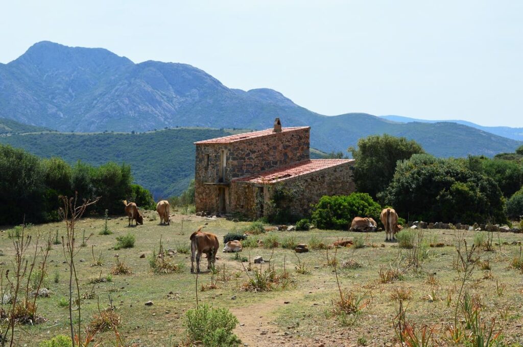 Schaapstal Capo Rosso PVF, Wandelen Corsica