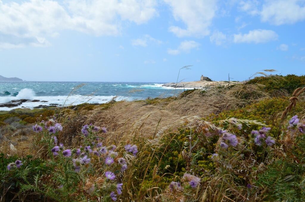 Uitzicht Lumio PVF, Corsica