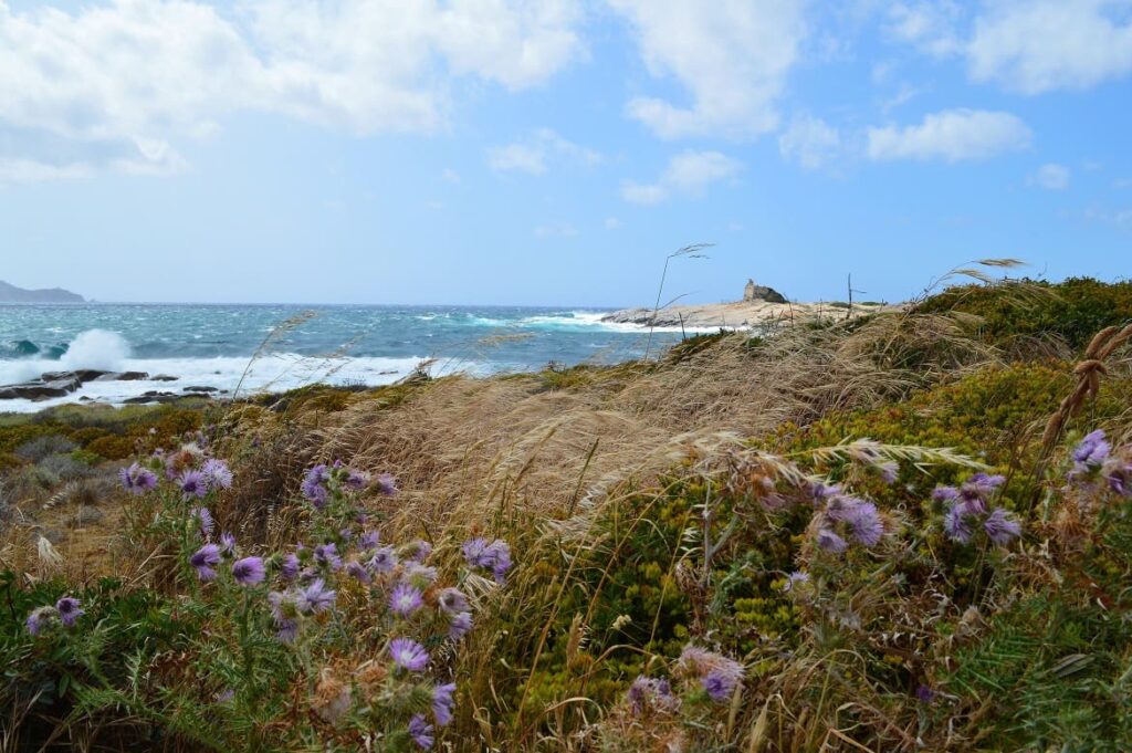 Uitzicht Lumio PVF, Wandelen Corsica