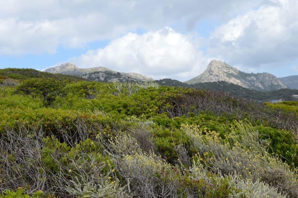 Wandelen Lumio PVF, Corsica
