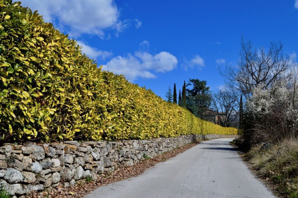 Weg la Matte PVF, Wandelen Ardèche