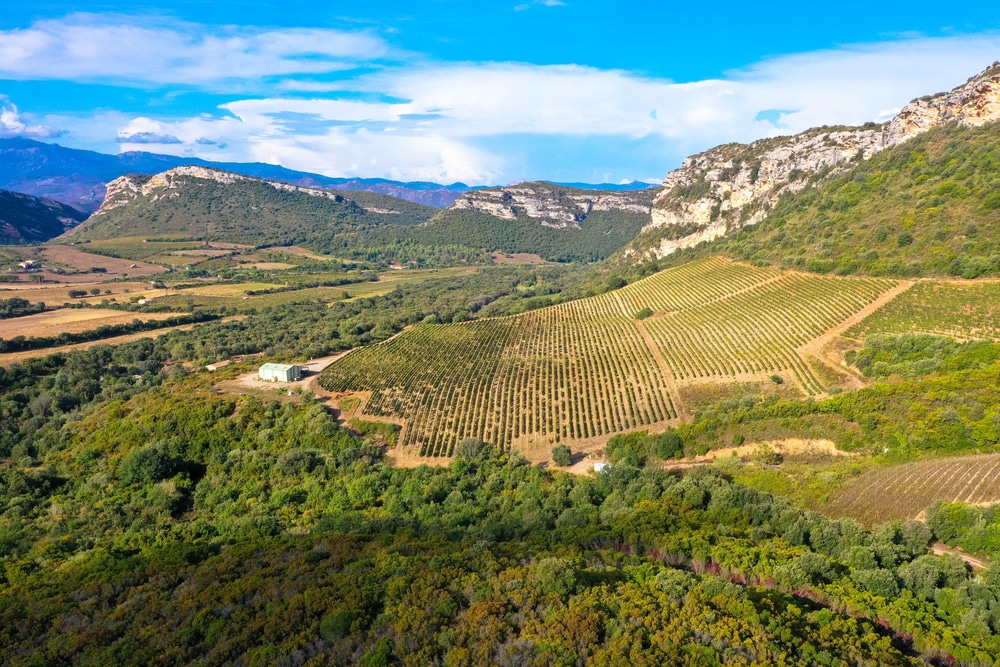 patrimonio 1958860948, mooiste plekken op corsica