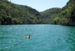 Basses Gorges eendjes PVF, mooiste campings in de Gironde