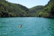 Basses Gorges eendjes PVF, Bezienswaardigheden in de Ardèche