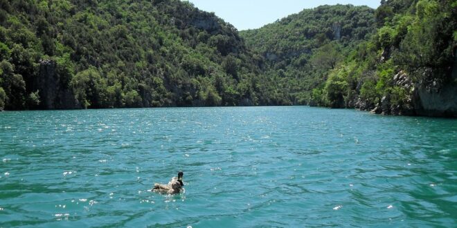 Basses Gorges eendjes PVF, glampings in de Gorges du Verdon