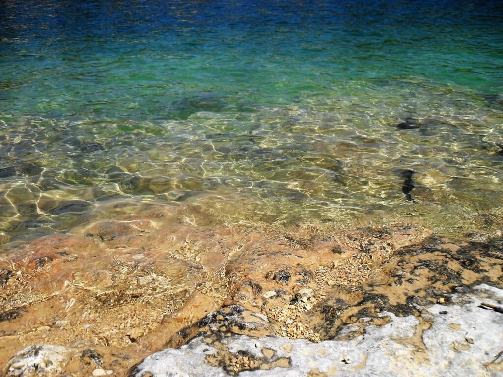 Lac Esparron close up PVF, Basses Gorges du Verdon