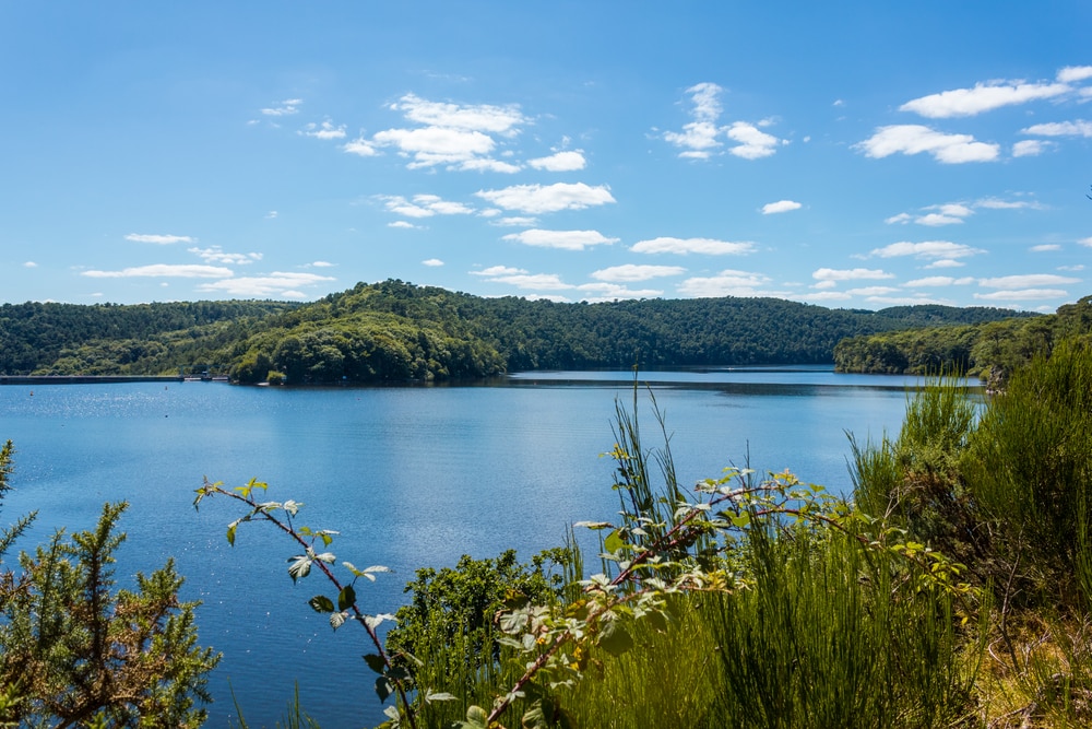 Lac de Guerledan 1711206811, leukste zwemmeren van Frankrijk