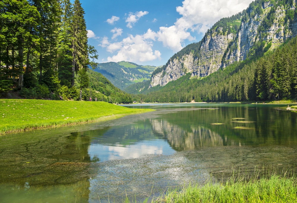 Lac de Montriond 390675178, leukste zwemmeren van Frankrijk