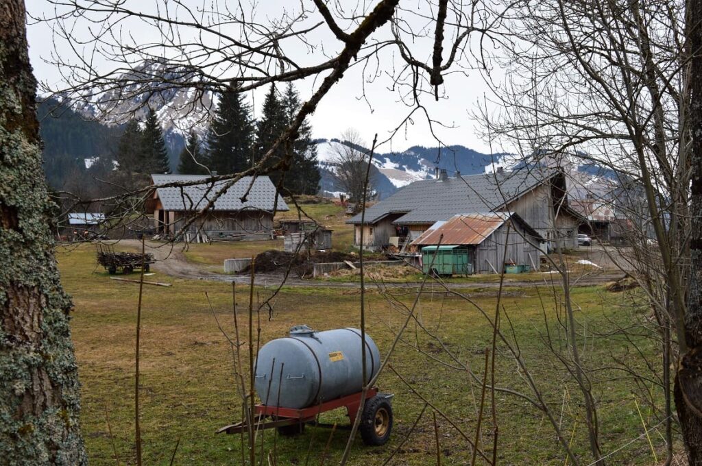 Wandelen Abondance 12 PVF, Wandelen Franse Alpen Abondance