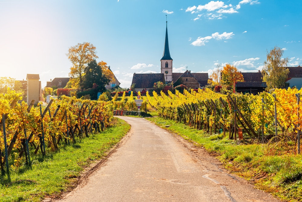 Mittelbergheim 1816613894, de 10 mooiste bezienswaardigheden in Bas-Rhin