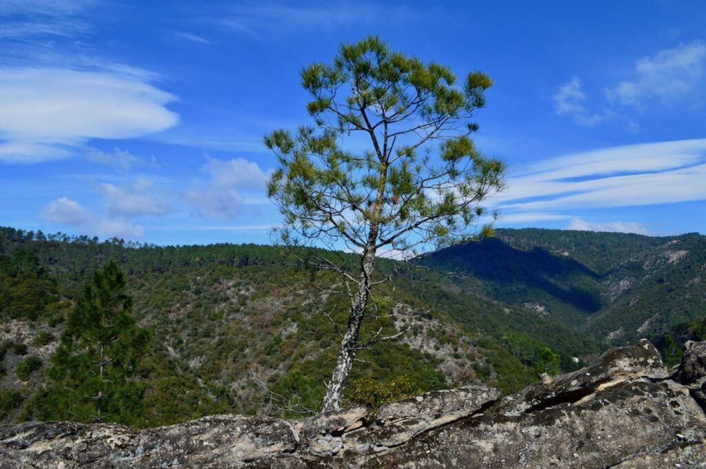 Uitzicht rotskliffen Vernon PVF, wandelen in de Ardèche