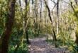 Wandelen in de Ardeche Sprookjesbos Bois de Paiolive, mooiste bezienswaardigheden in de Pays de la Loire