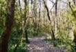 Wandelen in de Ardeche Sprookjesbos Bois de Paiolive, Natuurhuisjes Grand-Est