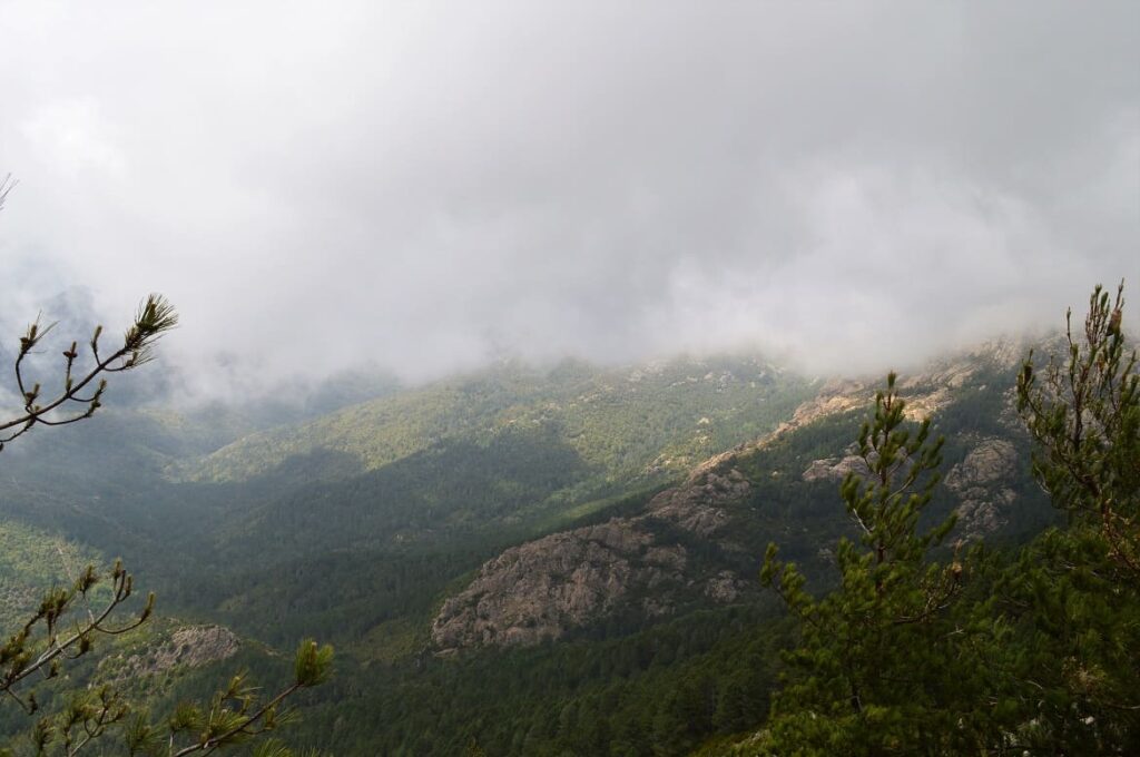 Zonza PvF, vakantie corsica