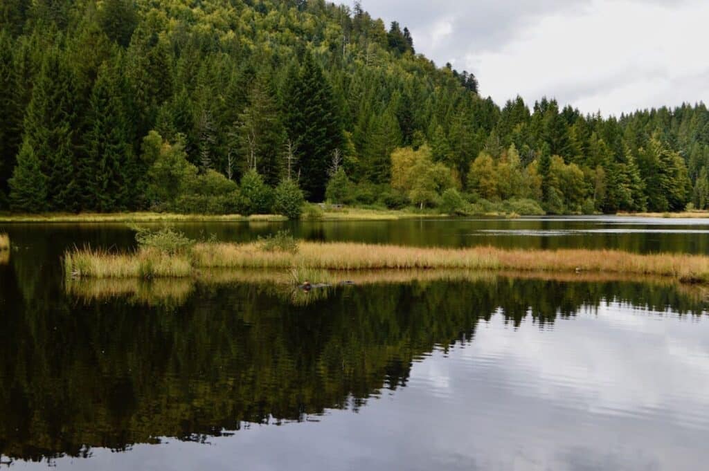 Lac de Lispach herfst PVF, najaar in de hoge Vogezen