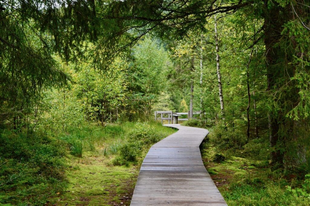 Lac de Lispach wandelpad PVF, najaar in de hoge Vogezen