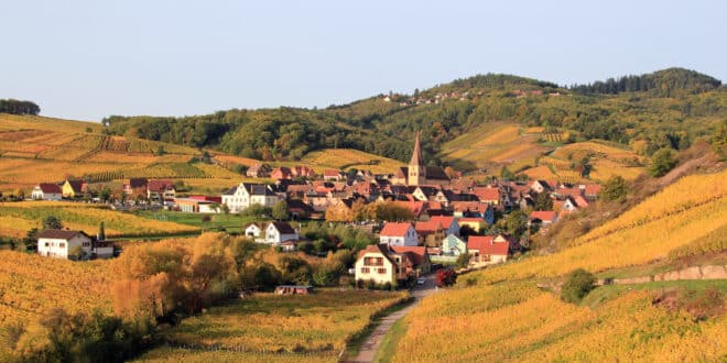 Niedermorschwihr shutterstock 125430494, Najaar Hoge Vogezen