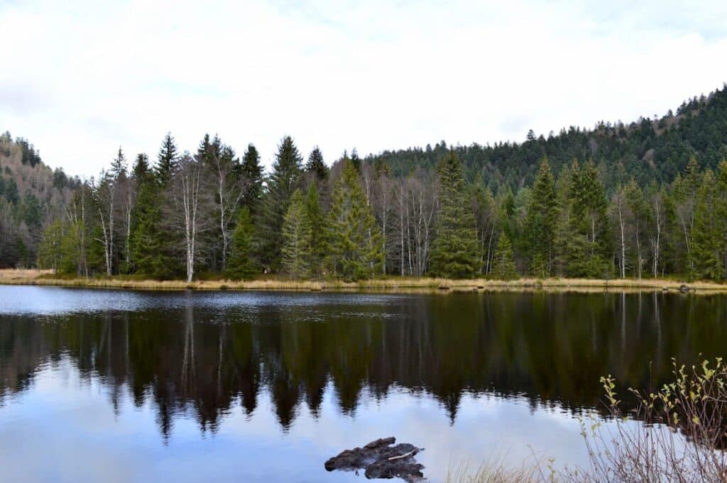 Het meer Lac de Lispach omgeven door bomen