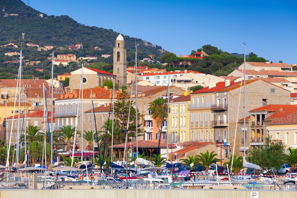 Een haven vol met boten en daarachter een berg met bomen en gekleurde huizen in het havenstadje Propriano op Corsica