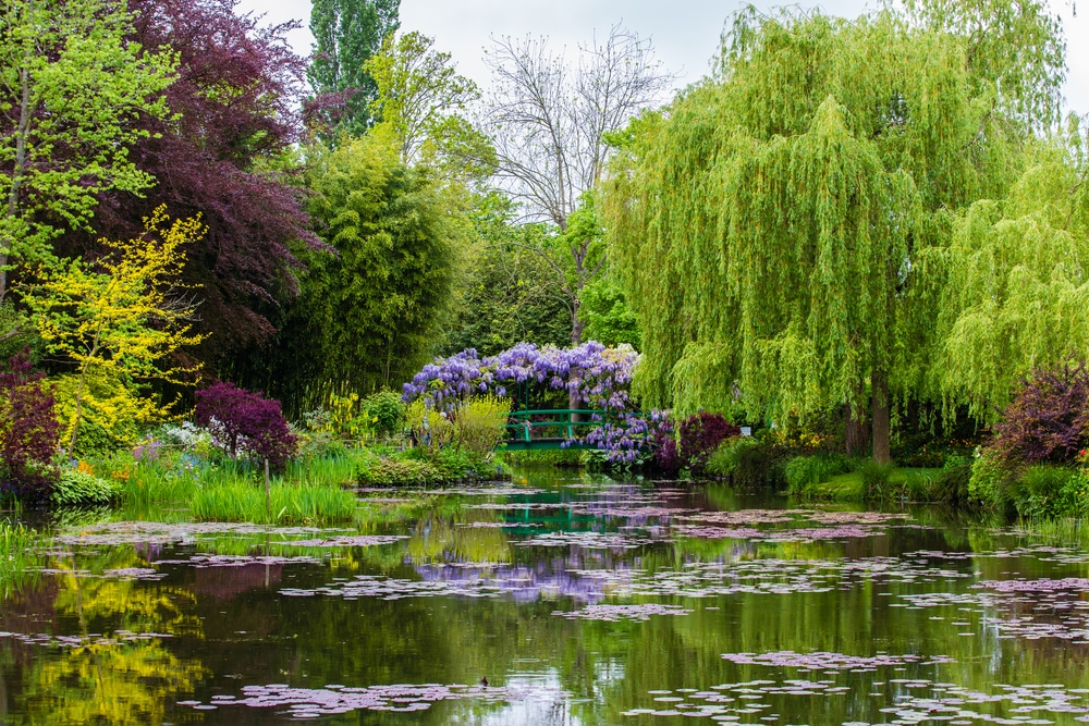 Groen bruggetje over het water omringd door groene bomen en paarse bloemen in de tuinen van Monet