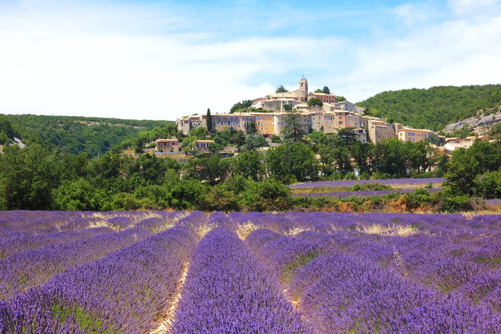 Het dorp Banon gelegen tussen de paarse lavendelvelden en groene bomen van de Provence.