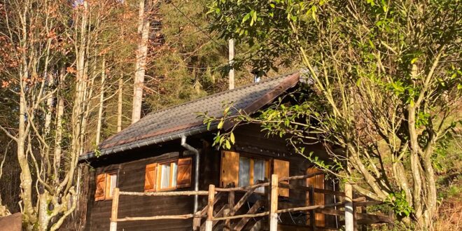 houten chalet in een bosrijke omgeving