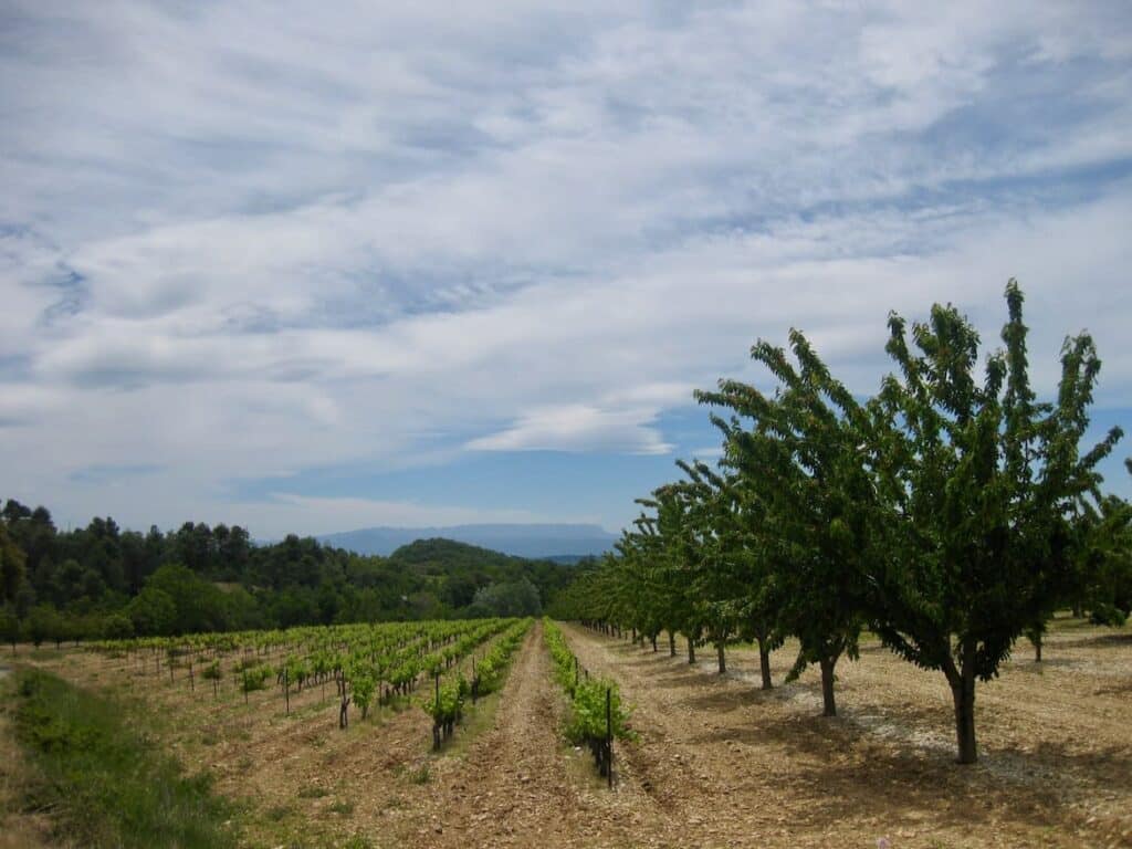 Cabrieres dAigues 3 PVF, Luberon