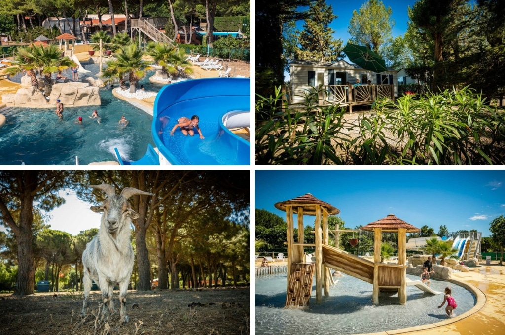 fotocollage van Camping Le Sainte Marie met een foto van het zwembad en een kindje die de glijbaan afglijdt, een foto van een stacaravan in de schaduw waar mensen op het terras zitten, een foto van een geit tussen de bomen, en een foto van het peuterbad met speeltoestel met glijbaan