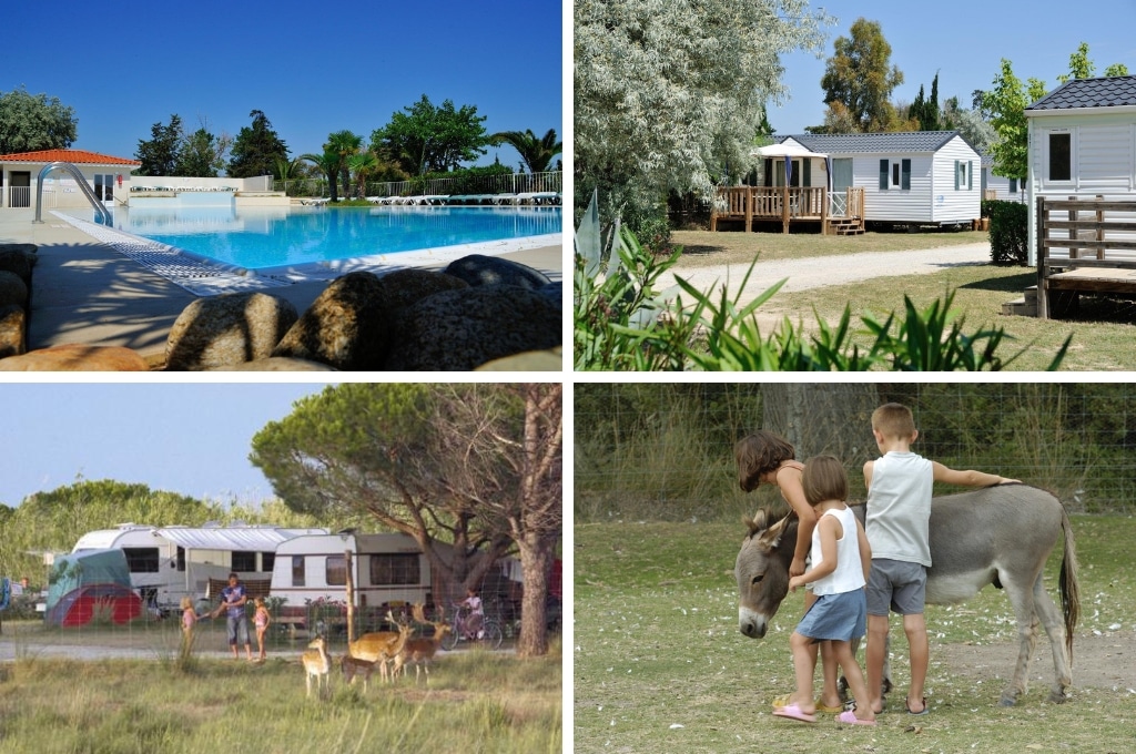 fotocollage van Camping Les Fontaines met een foto van het lege zwembad, een foto van twee witte stacaravans, een foto van caravans met daarvoor hertjes in de wei, en een foto van twee meisjes en een jongetje die een pony aaien