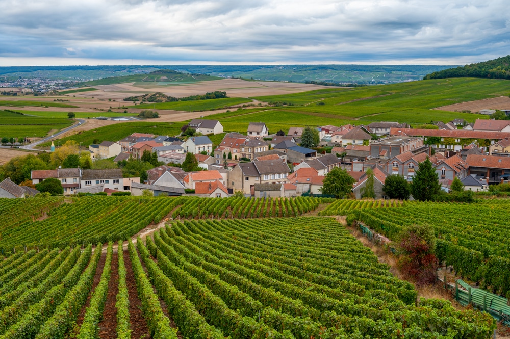 Verschillende huisjes met rode daken gelegen tussen de groene wijngaarden en akkers van de Champagne-streek.