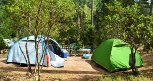 Natuur camping 2 PVF header, vakantie corsica