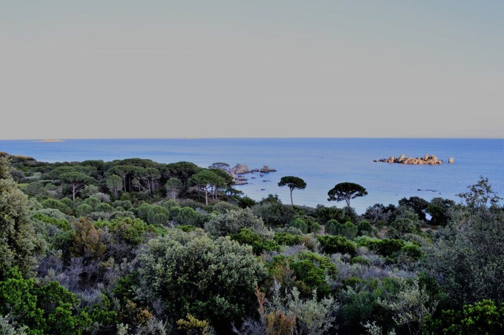 Corsica Tamaricciu avond PVF, Stranden Corsica