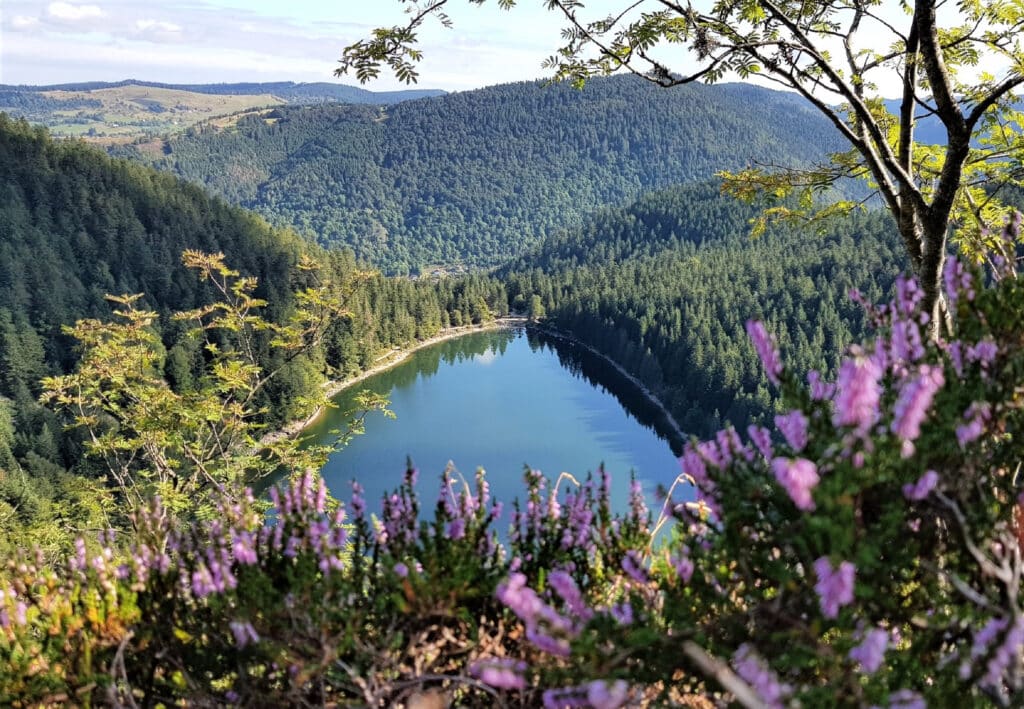 Lac des Corbeaux SH 1881074578, Uitzichtpunten hoge Vogezen