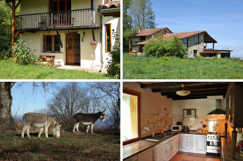 fotocollage van een natuurhuisje in Castelnau-Durban met een foto van de voorkant van het huisje met een bankje in de tuin, een foto van de achterkant van het huis uit de verte, een foto van twee ezeltjes, en een foto van de charmante Franse keuken