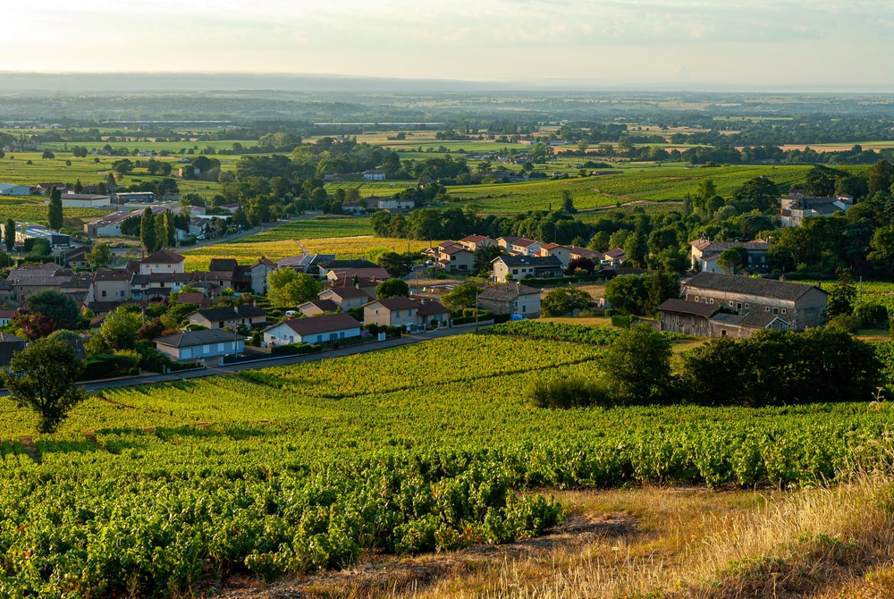 Rhone populaire wijnstreken in Frankrijk 1790470364, populaire wijnstreken in frankrijk