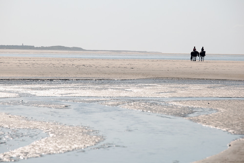Baai van de Somme Picardie 495973534, Picardië