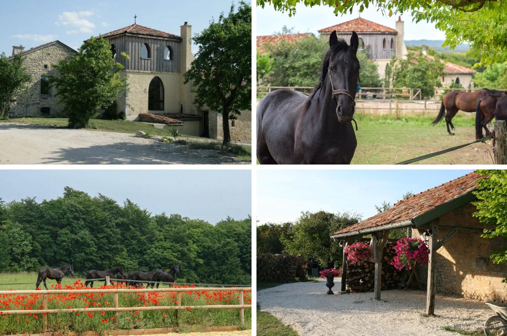 Domaine St Christophe, glamping bij de boer in Frankrijk