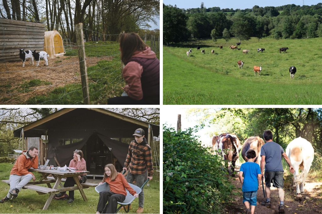 La Ferme de Penquelen, glamping bij de boer in Frankrijk