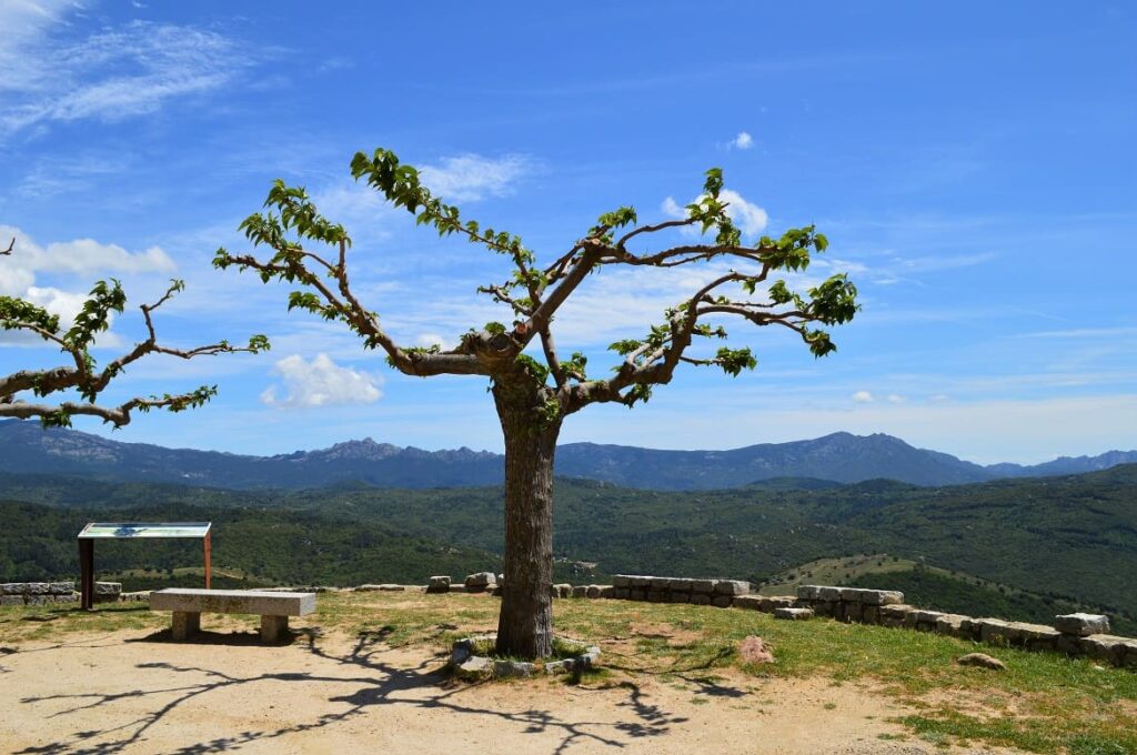 Zuid Corsica PVF, Corsica