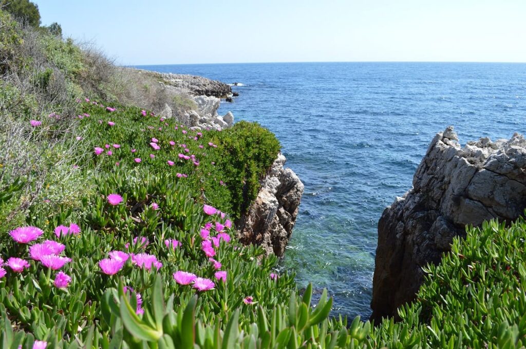 Antibes Sentier Littoral PVF 1024x680