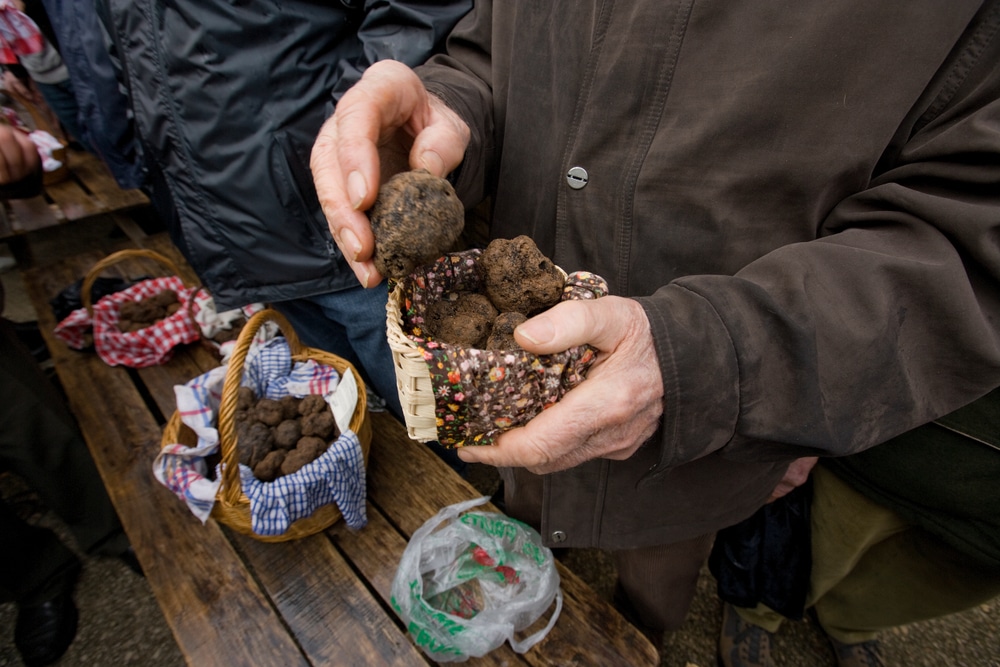 een man met bruine jas die een mandje met truffels vasthoudt en er één uit het mandje pakt. Onder de handen van de man zie je een bankje met nog meer mandjes gevuld met truffels.