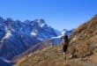 Nationaal Park Les Ecrins wandelen Franse Alpen shutterstock 517862245, campings Vaucluse