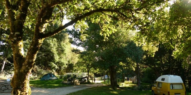 Camping de Pont Calleck 4, Natuurhuisjes Tarn-et-Garonne