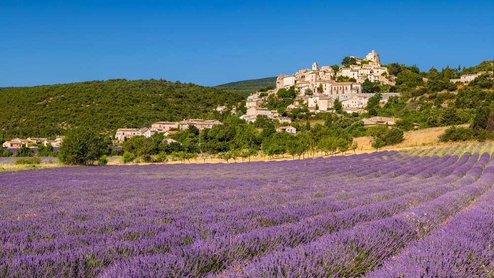 De Provence, Zininfrankrijk.nl