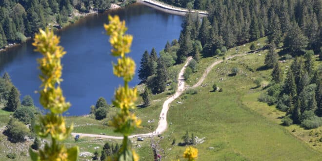 Lac Du Forlet 660x330, Zininfrankrijk.nl